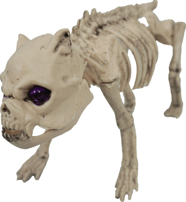 Pug Dog Skeleton Prop