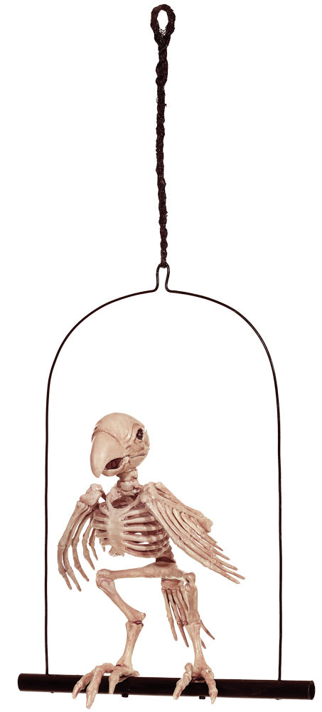 Skeleton Parrot on a Perch Prop
