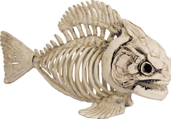 Fish Bone Skeleton Prop