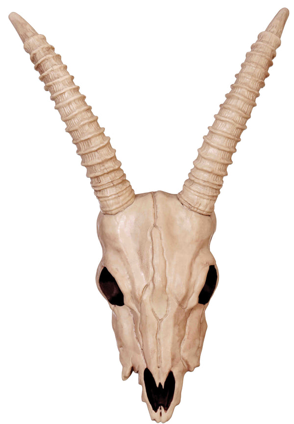 Skeleton Gazelle Head Prop